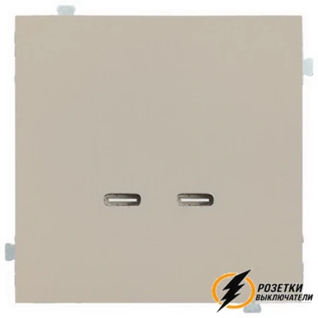 Зарядка USB 2 порта C+C 60Вт Rikett латте