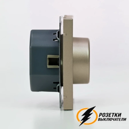 Диммер поворотно-нажимной LED 3-150 Вт, 10-400 Вт ArtGallery шампань