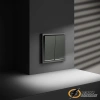 Выключатель двухклавишный с подсветкой Voltum S70 титан VLS020205