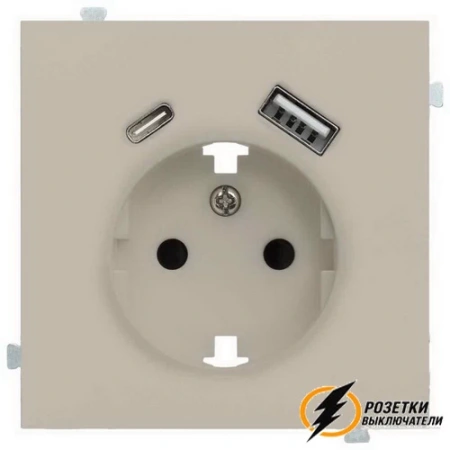 Розетка с USB зарядкой 2 порта А+C 2,4mA Rikett латте