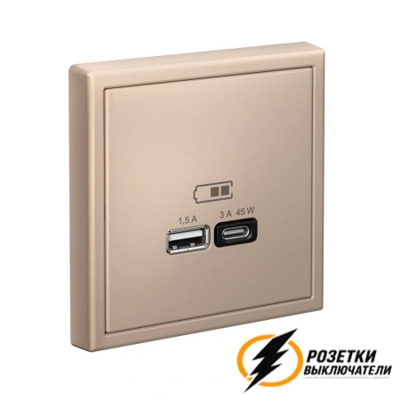 Зарядка USB 2 порта тип А-С 3000 mA ArtGallery песочный