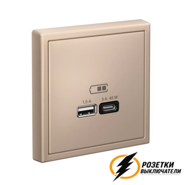 Зарядка USB 2 порта тип А-С 3000 mA ArtGallery песочный
