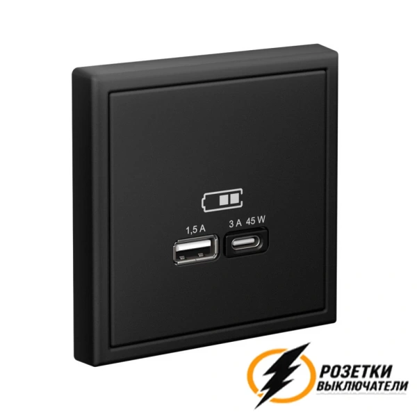 Зарядка USB 2 порта тип А-С 3000 mA ArtGallery карбон