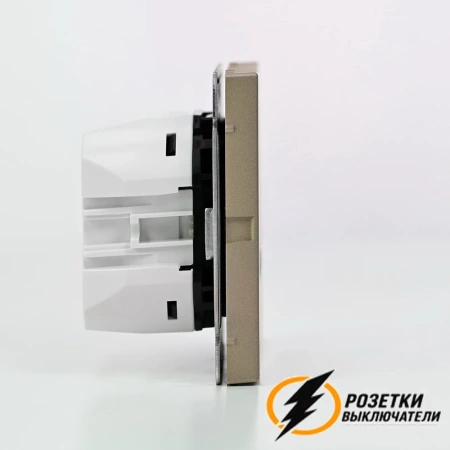 Зарядка USB 2 порта тип А-С 3000 mA ArtGallery шампань