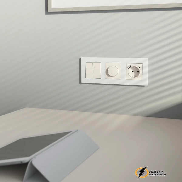 Розетка с USB зарядкой 2 порта А+C 3,0 mA Werkel айвори матовая