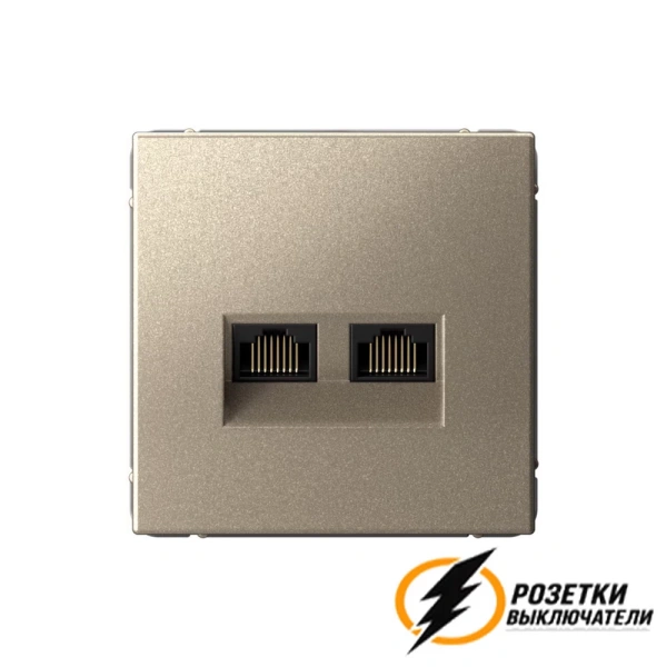 Компьютерная розетка rj45 двойная UTP cat 5e ArtGallery шампань