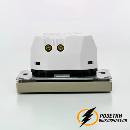 Зарядка USB 1 порта тип С 3250 mA ArtGallery шампань