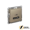 Зарядка USB 1 порт C 3,2 mA AtlasDesign шампань