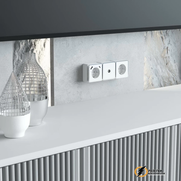 Розетка с USB зарядкой накладная 2 порта А+C 3,0 mA Werkel Gallant белая