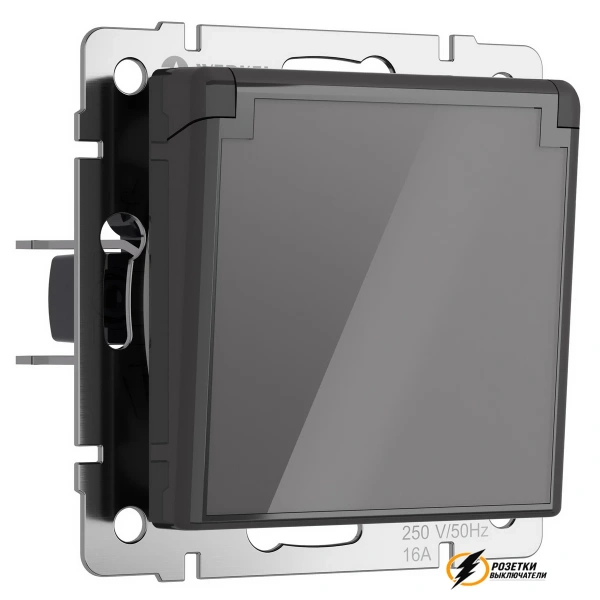 Розетка с крышкой ip40 16а 250в Werkel графит акрил