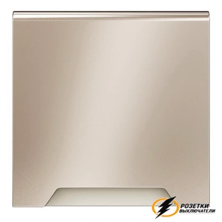 Накладка розетки с крышкой IP40 Voltum S70 Metal платина VLSM000809