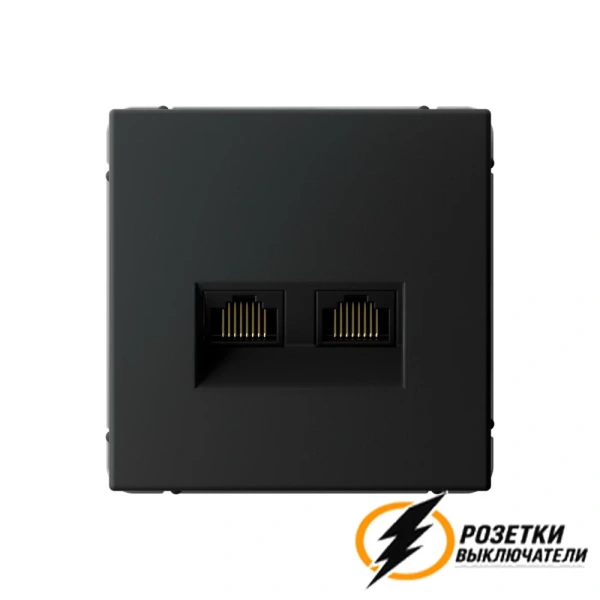 Компьютерная розетка rj45 двойная UTP cat 6 ArtGallery карбон