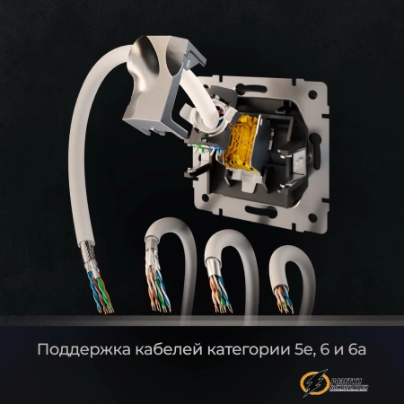 Розетка компьютерная rj45 cat 6 Werkel черная матовая