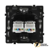 Розетка компьютерная rj45 двойная cat 6 Brionilux G золото матовое