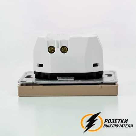 Зарядка USB 2 порта тип А-С 3000 mA ArtGallery шампань