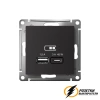 Зарядка USB 2 порта А+C 3,0 mA AtlasDesign карбон