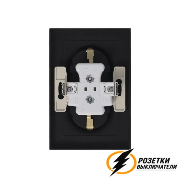 Розетка двойная с заземлением 10а 250в AtlasDesign карбон