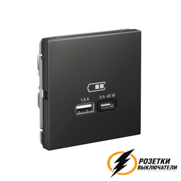 Зарядка USB 2 порта тип А-С 3000 mA ArtGallery базальт