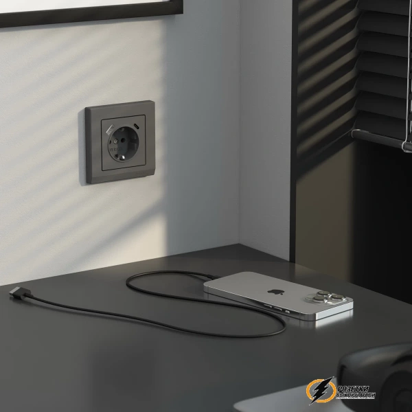 Розетка с USB зарядкой 2 порта А+C 3,0 mA Werkel графит матовая