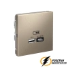 Зарядка USB 2 порта тип А-С 3000 mA ArtGallery шампань