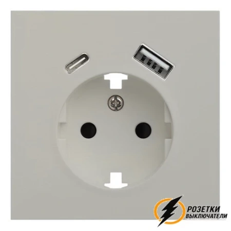 Розетка с USB зарядкой 2 порта А+C 2,4mA Rikett лен