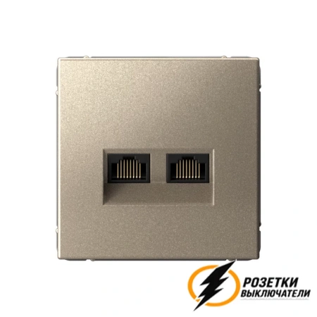 Компьютерная розетка rj45 двойная UTP cat 6 ArtGallery шампань