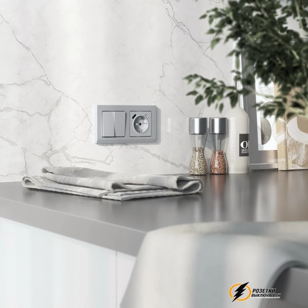 Розетка с USB зарядкой 2 порта А+A 2,1 mA Werkel серебряная матовая