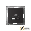 Зарядка USB 2 порта А+C 2,4 mA AtlasDesign карбон