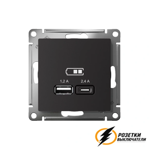 Зарядка USB 2 порта А+C 2,4 mA AtlasDesign карбон