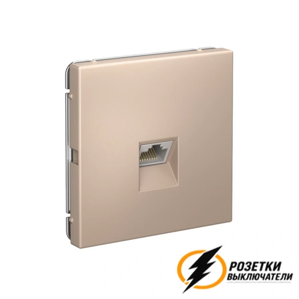 Компьютерная розетка rj45 UTP cat 6 ArtGallery песочный