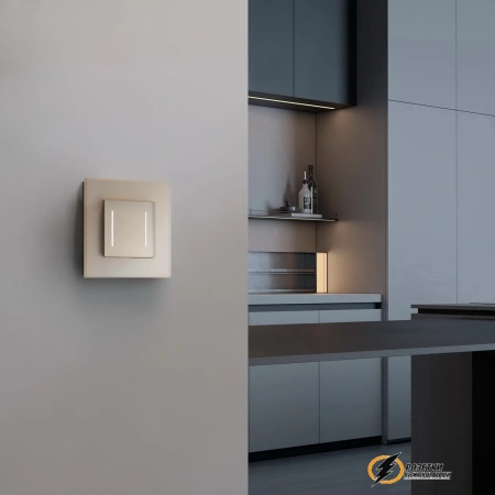 Рамка стеклянная 1 местная Werkel Senso шампань soft-touch