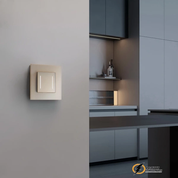 Рамка стеклянная 1 местная Werkel Senso шампань soft-touch