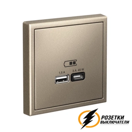 Зарядка USB 2 порта тип А-С 3000 mA ArtGallery шампань
