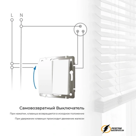 Звонковый выключатель двухклавишный НО Werkel белый матовый